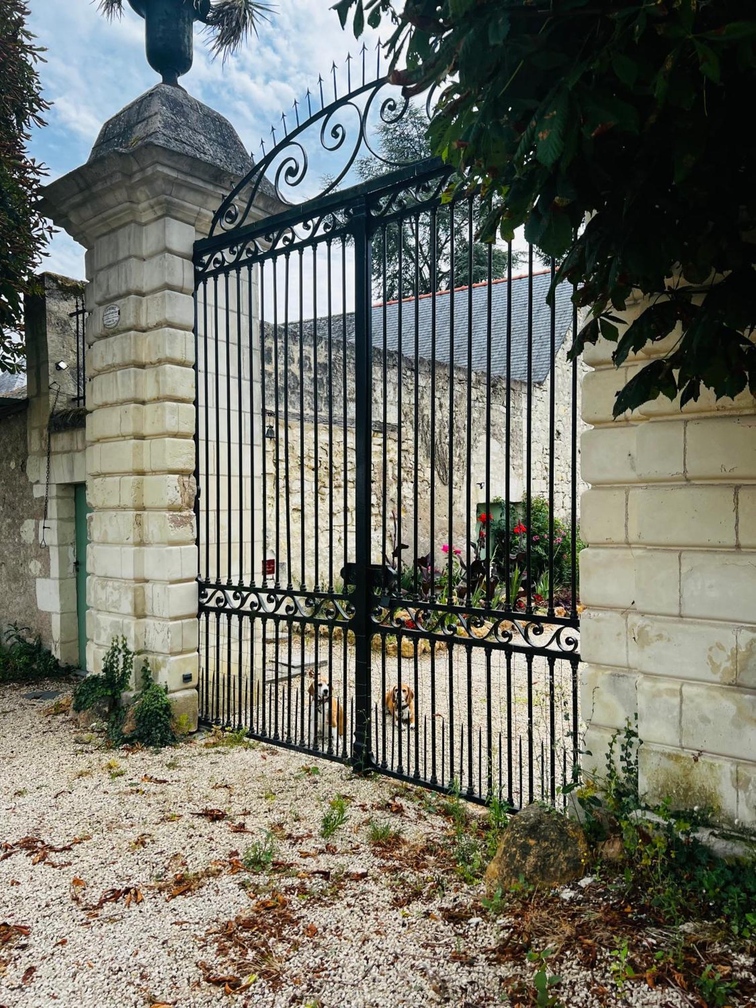 Chateau De La Thibaudiere Bois Savary - Chambre Familiale Du Roi Allonnes  Dış mekan fotoğraf
