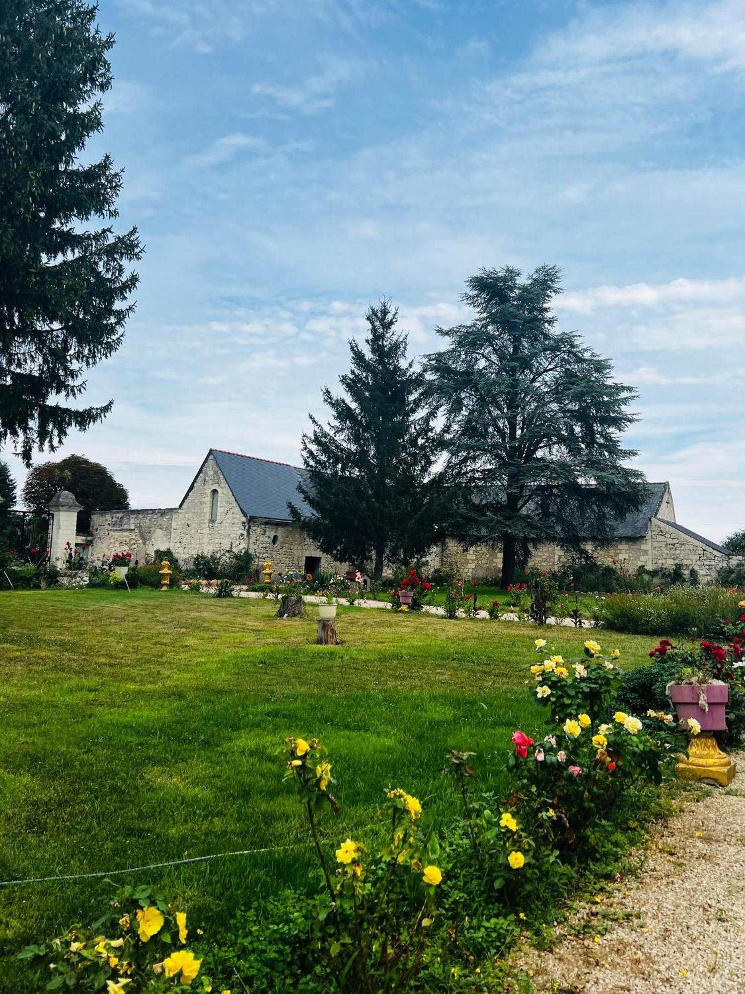 Chateau De La Thibaudiere Bois Savary - Chambre Familiale Du Roi Allonnes  Dış mekan fotoğraf